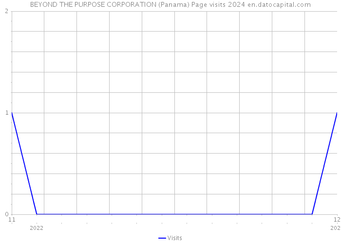 BEYOND THE PURPOSE CORPORATION (Panama) Page visits 2024 