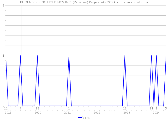 PHOENIX RISING HOLDINGS INC. (Panama) Page visits 2024 