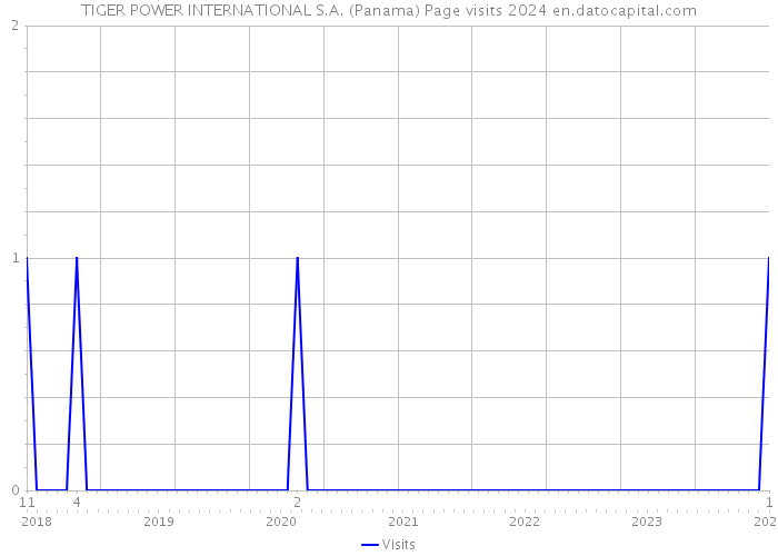 TIGER POWER INTERNATIONAL S.A. (Panama) Page visits 2024 