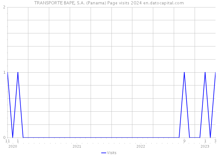 TRANSPORTE BAPE, S.A. (Panama) Page visits 2024 
