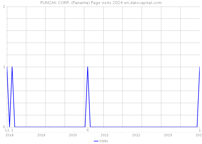 PUNCAK CORP. (Panama) Page visits 2024 