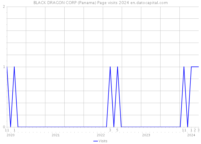 BLACK DRAGON CORP (Panama) Page visits 2024 