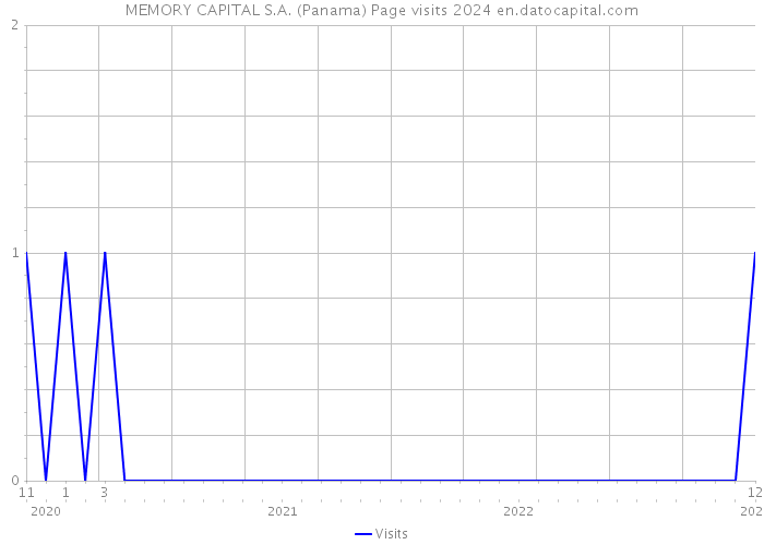 MEMORY CAPITAL S.A. (Panama) Page visits 2024 