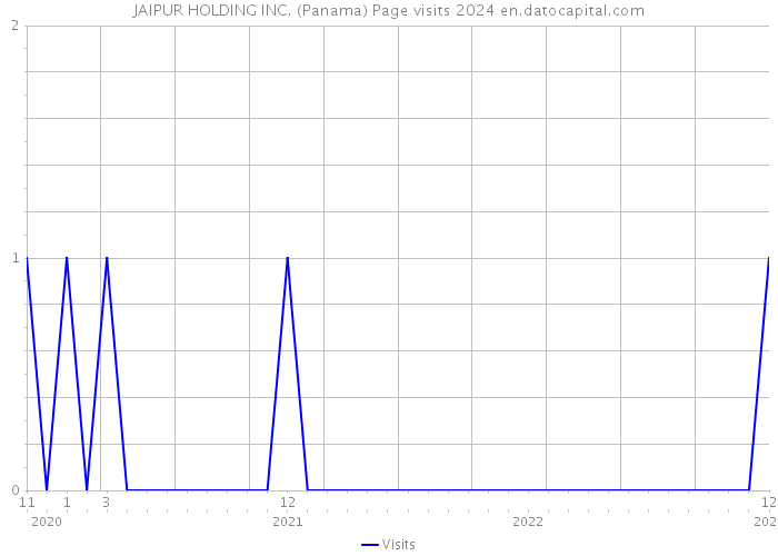 JAIPUR HOLDING INC. (Panama) Page visits 2024 