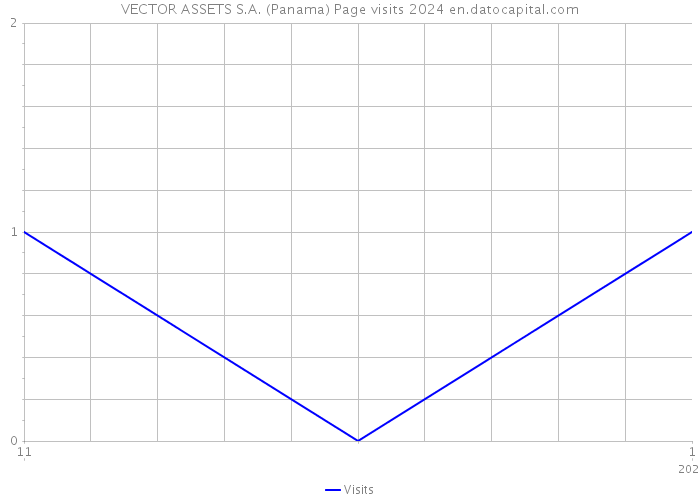 VECTOR ASSETS S.A. (Panama) Page visits 2024 