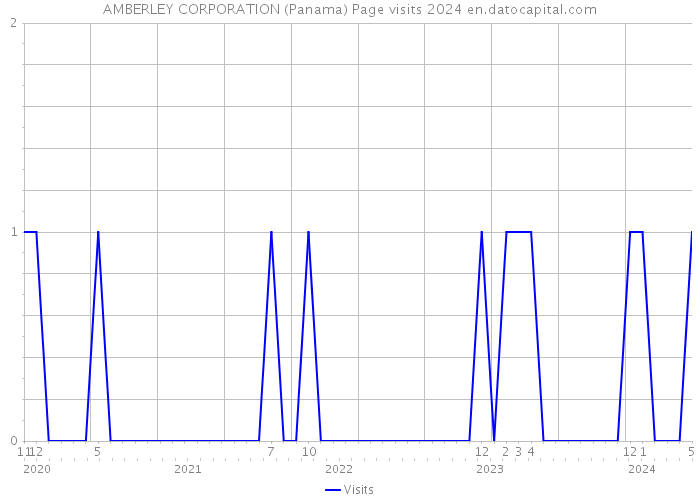 AMBERLEY CORPORATION (Panama) Page visits 2024 