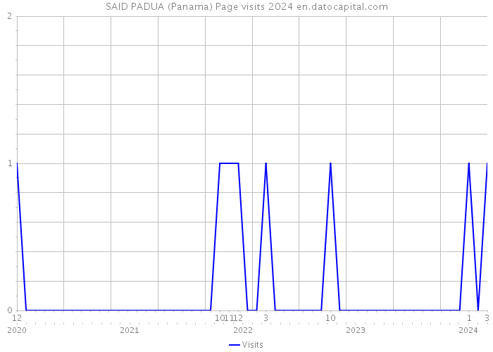 SAID PADUA (Panama) Page visits 2024 