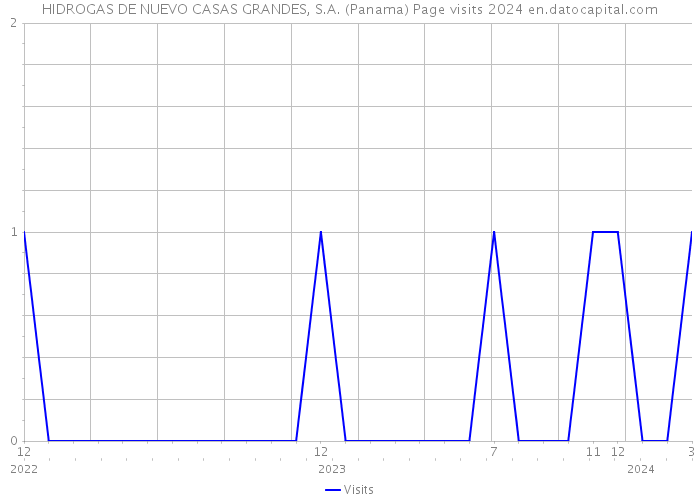 HIDROGAS DE NUEVO CASAS GRANDES, S.A. (Panama) Page visits 2024 