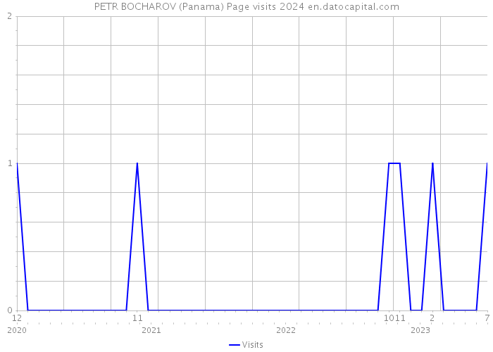 PETR BOCHAROV (Panama) Page visits 2024 