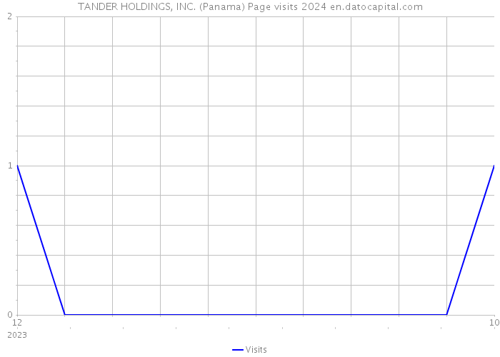 TANDER HOLDINGS, INC. (Panama) Page visits 2024 