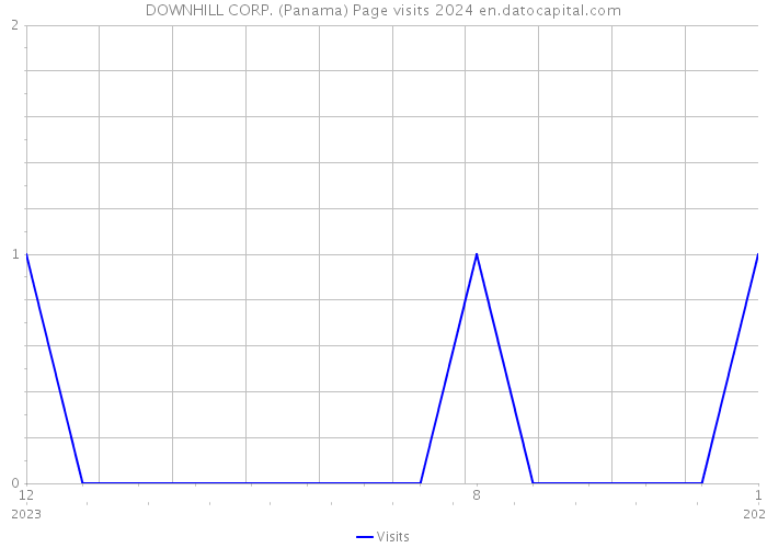 DOWNHILL CORP. (Panama) Page visits 2024 