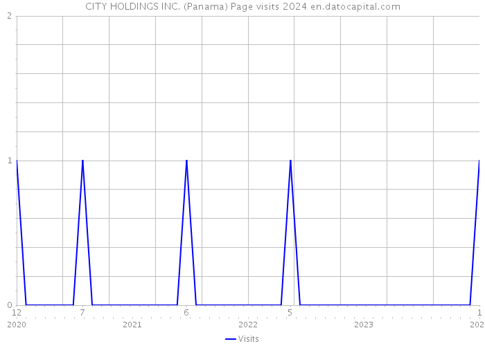 CITY HOLDINGS INC. (Panama) Page visits 2024 