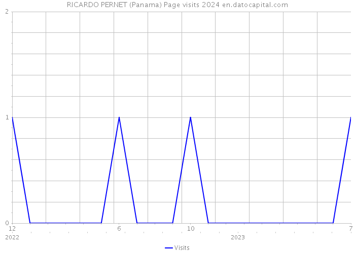 RICARDO PERNET (Panama) Page visits 2024 