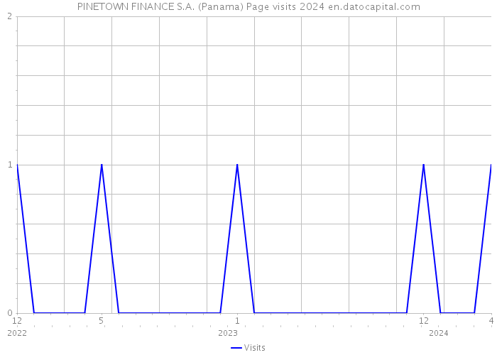 PINETOWN FINANCE S.A. (Panama) Page visits 2024 