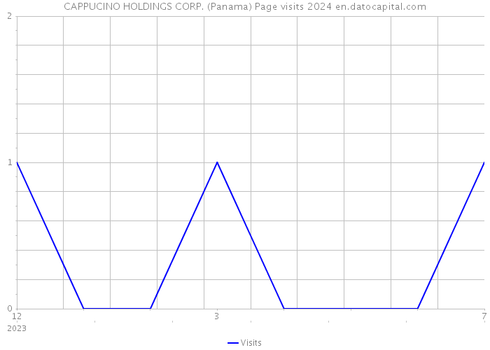 CAPPUCINO HOLDINGS CORP. (Panama) Page visits 2024 
