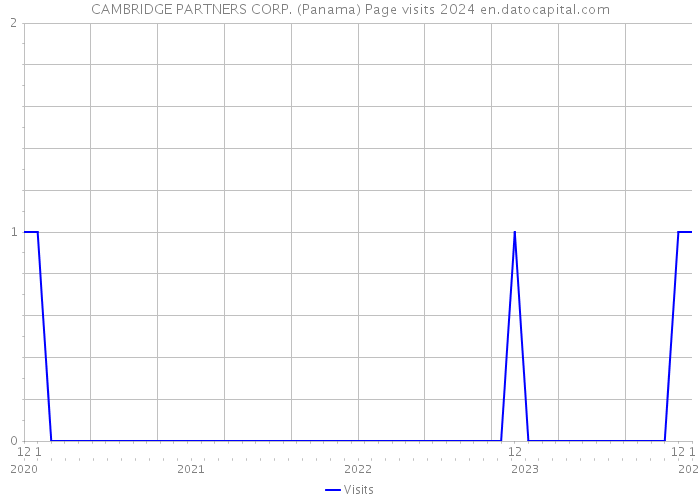 CAMBRIDGE PARTNERS CORP. (Panama) Page visits 2024 