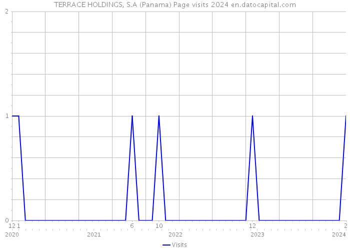TERRACE HOLDINGS, S.A (Panama) Page visits 2024 