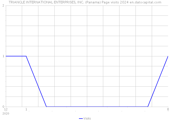 TRIANGLE INTERNATIONAL ENTERPRISES, INC. (Panama) Page visits 2024 