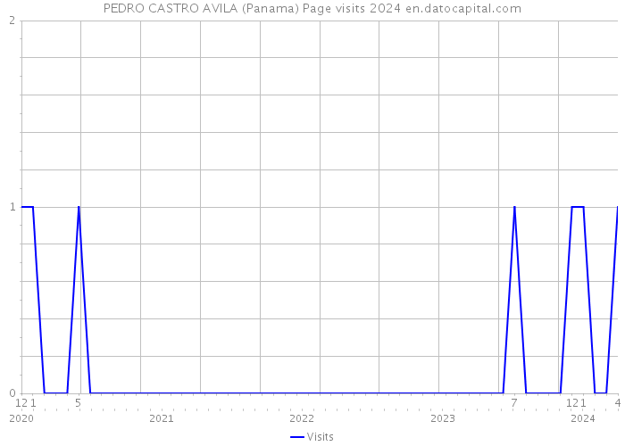 PEDRO CASTRO AVILA (Panama) Page visits 2024 