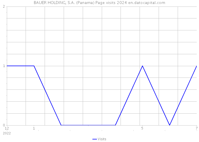 BAUER HOLDING, S.A. (Panama) Page visits 2024 