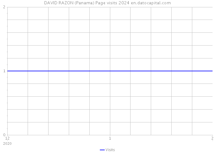 DAVID RAZON (Panama) Page visits 2024 