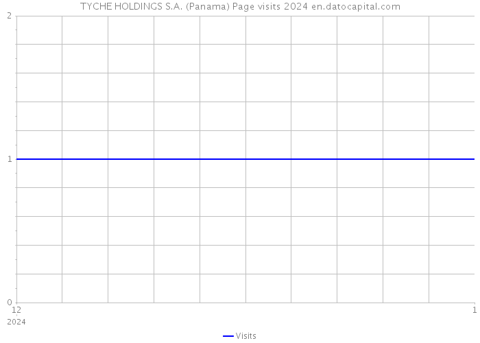 TYCHE HOLDINGS S.A. (Panama) Page visits 2024 