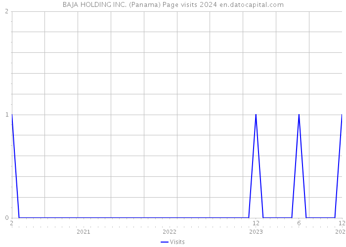 BAJA HOLDING INC. (Panama) Page visits 2024 