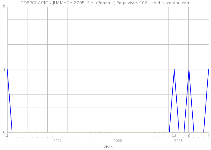 CORPORACION JUAMACA 2705, S.A. (Panama) Page visits 2024 