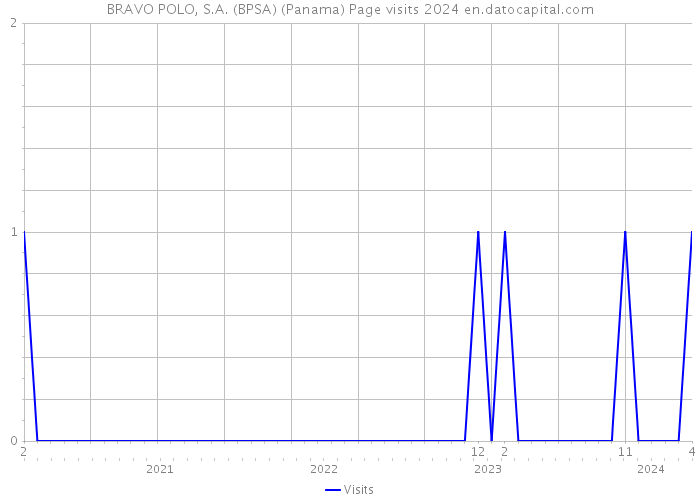 BRAVO POLO, S.A. (BPSA) (Panama) Page visits 2024 