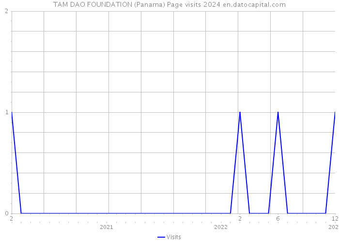TAM DAO FOUNDATION (Panama) Page visits 2024 
