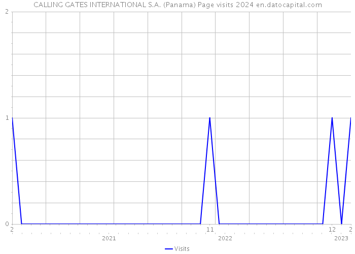 CALLING GATES INTERNATIONAL S.A. (Panama) Page visits 2024 