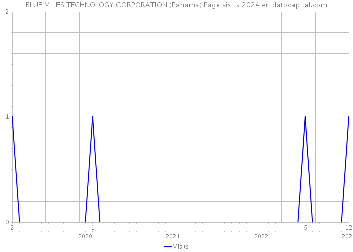 BLUE MILES TECHNOLOGY CORPORATION (Panama) Page visits 2024 