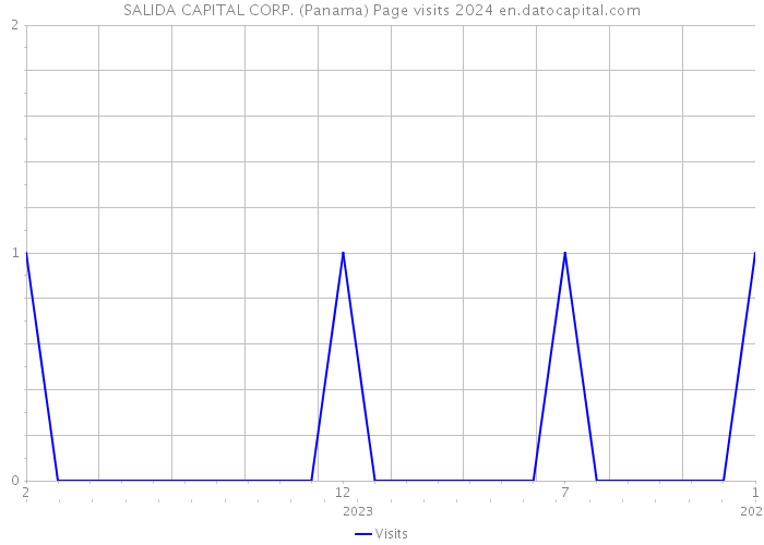SALIDA CAPITAL CORP. (Panama) Page visits 2024 