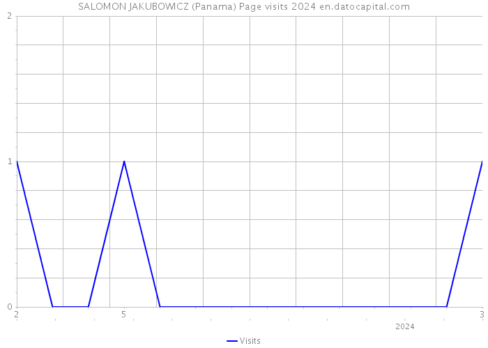 SALOMON JAKUBOWICZ (Panama) Page visits 2024 