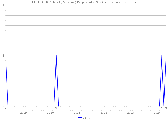 FUNDACION MSB (Panama) Page visits 2024 