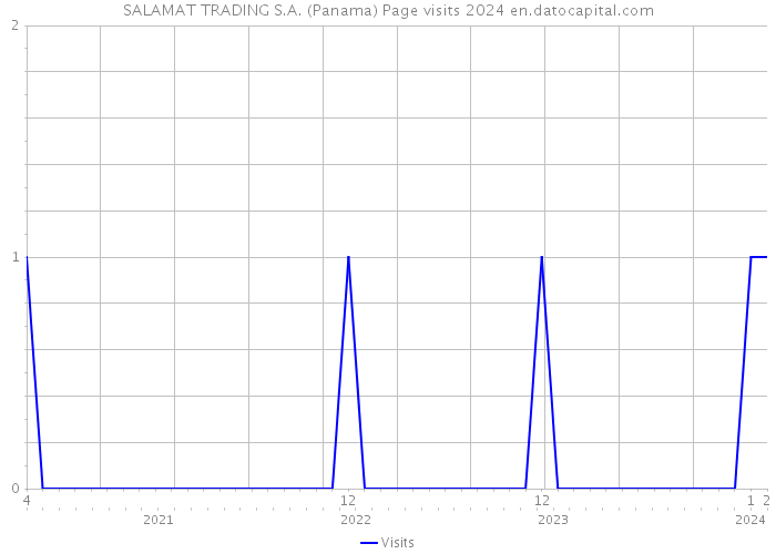 SALAMAT TRADING S.A. (Panama) Page visits 2024 