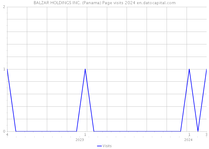 BALZAR HOLDINGS INC. (Panama) Page visits 2024 