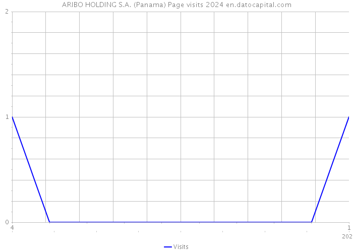 ARIBO HOLDING S.A. (Panama) Page visits 2024 