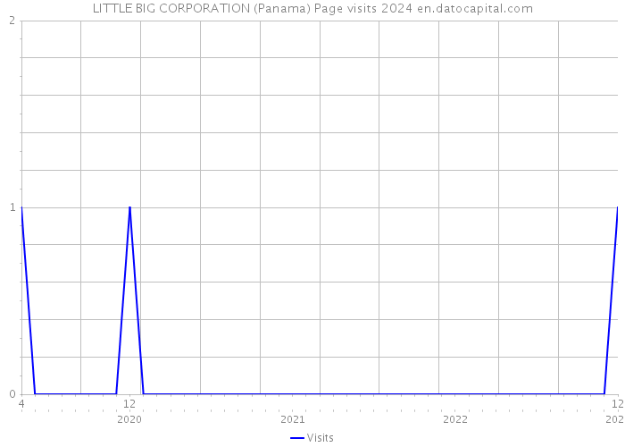 LITTLE BIG CORPORATION (Panama) Page visits 2024 