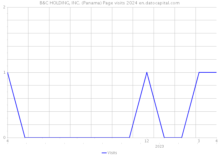 B&C HOLDING, INC. (Panama) Page visits 2024 
