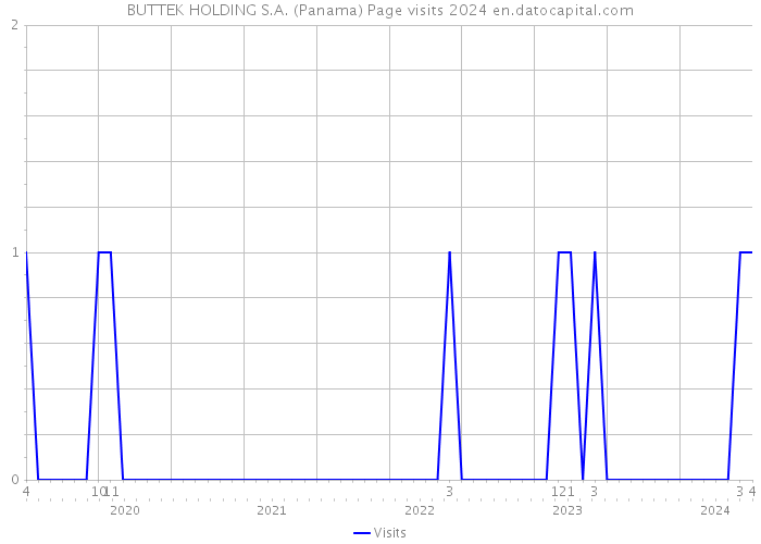 BUTTEK HOLDING S.A. (Panama) Page visits 2024 