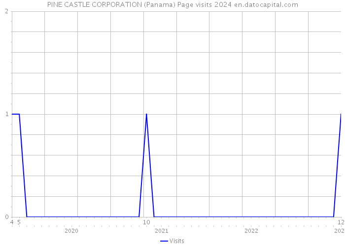 PINE CASTLE CORPORATION (Panama) Page visits 2024 