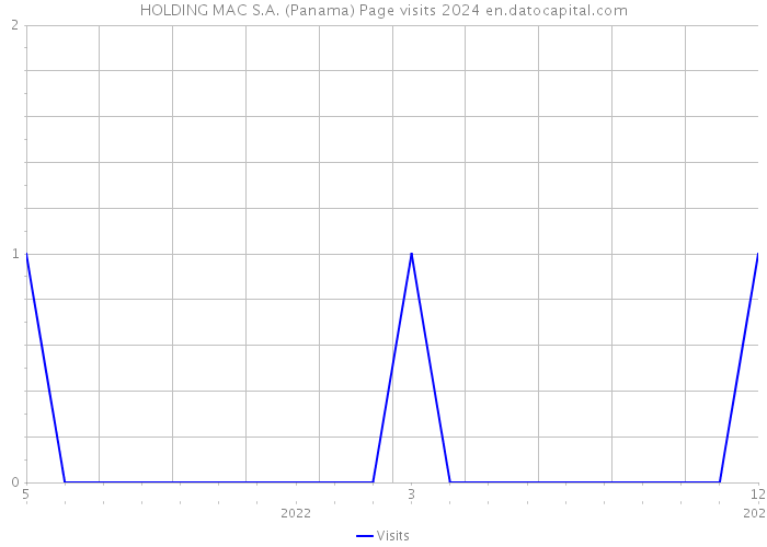 HOLDING MAC S.A. (Panama) Page visits 2024 