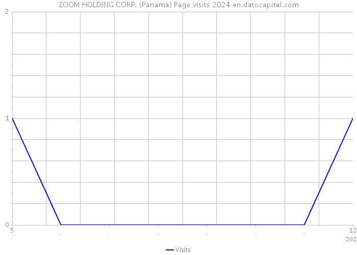 ZOOM HOLDING CORP. (Panama) Page visits 2024 