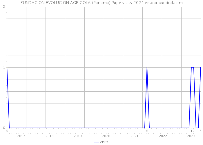 FUNDACION EVOLUCION AGRICOLA (Panama) Page visits 2024 