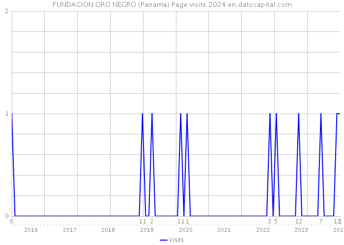 FUNDACION ORO NEGRO (Panama) Page visits 2024 