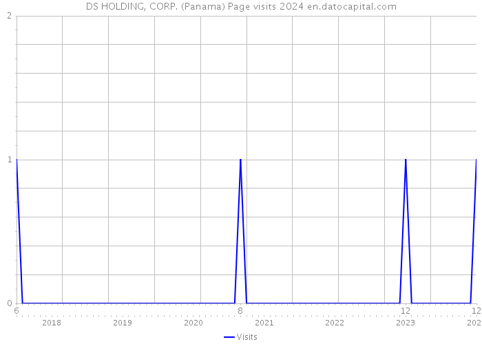 DS HOLDING, CORP. (Panama) Page visits 2024 
