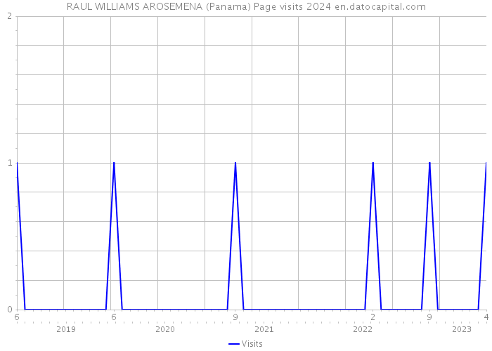 RAUL WILLIAMS AROSEMENA (Panama) Page visits 2024 