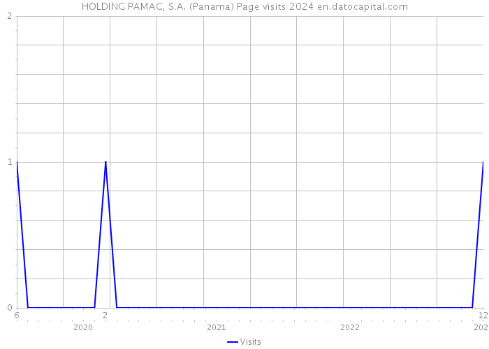 HOLDING PAMAC, S.A. (Panama) Page visits 2024 