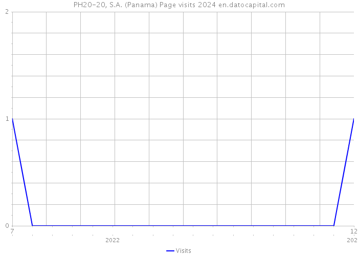 PH20-20, S.A. (Panama) Page visits 2024 